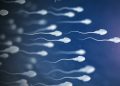Sperm natural