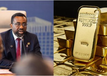 BoG small-scale gold