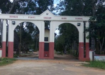 Dzodze-Penyi SHS abortion