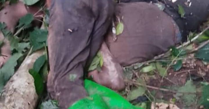 Timber workers Bekawopa