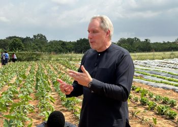 MTN Ghana, Stephen Blewett, University of Ghana, Ghana News, vegetable farms,