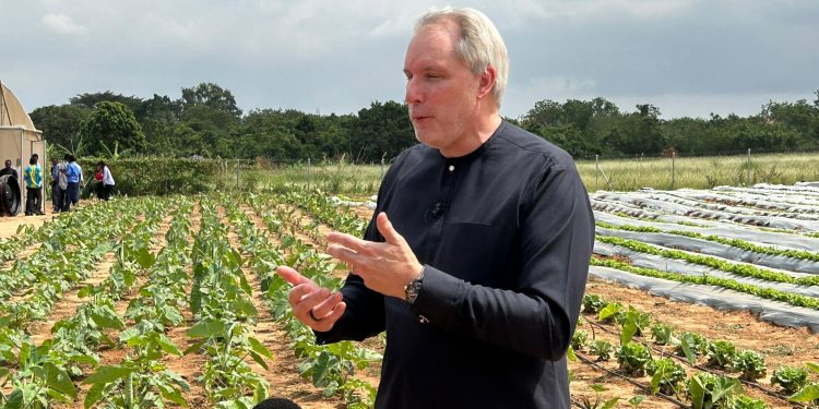 MTN Ghana, Stephen Blewett, University of Ghana, Ghana News, vegetable farms,